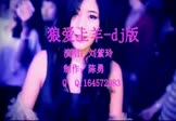 网络-狼爱上羊(DJ舞曲 夜店DJ视频)
