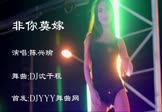 陈兴瑜-非你莫嫁(DJ舞曲 热舞DJ视频)