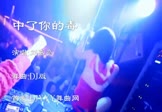 刘嘉亮-中了你的毒(DJ舞曲 夜店DJ视频)