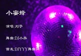刘子毅-小蜜蜂(DJ舞曲 夜店DJ视频)