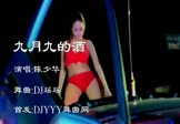 陈少华-九月九的酒(DJ瑶瑶 热舞DJ视频)