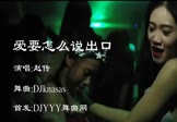 赵传-爱要怎么说出口(DJ舞曲 夜店DJ视频)