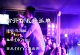 范思威-离开你我好孤单(DJGwing 夜店DJ视频)