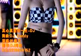 叶倩文-真心真意过一生(DJCandy 热舞DJ视频)
