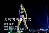 张萨-爱到飞蛾扑向火(DJ王贺 热舞DJ视频)