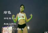 陈雪凝-绿色(DJ阿帆 热舞DJ视频)