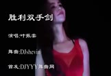 叶振棠-胜利双手剑(DJshevin 热舞DJ视频)