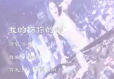 暴林-我的伤你的错(DJ伟伟 夜店DJ视频)