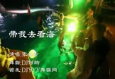 张冬玲-带我去看海(DJ何鹏 DJ舞曲视频)