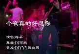梅朵-今夜真的好想你(DJ何鹏 夜店DJ视频)