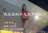 陈咏-我是真的不愿放开你的手(DJ庭锋 热舞DJ视频)