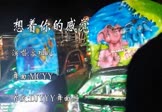 容祖儿-想着你的感觉(MCYY 热舞DJ视频)