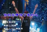 张冬玲-你的无情伤了我的心(DJ何鹏 夜店DJ视频)