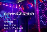 祁隆-你的幸福不是我的(DJ何鹏 打碟DJ视频)