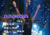 红袖-走不出你的爱(DJ何鹏 夜店DJ视频)