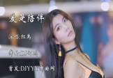 红禹-爱是陪伴(DJ何鹏 车模DJ视频)