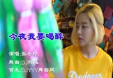 张冬玲-今夜我要喝醉(DJ阿远 夜店DJ视频)
