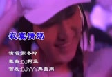 张冬玲-寂寞情殇(DJ阿远 夜店DJ视频)