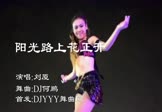 刘厦-阳光路上花正开(DJ何鹏 热舞DJ视频)