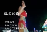 王峰-温柔的伤(DJ何鹏 热舞DJ视频)