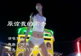 阿乐-原谅我的离去(DJ何鹏 热舞DJ视频)