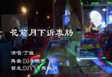 丁姐-花前月下诉衷肠(DJ李鹏歌 热舞DJ视频)