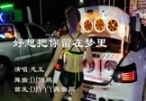 志王-好想把你留在梦里(DJ何鹏 热舞DJ视频)