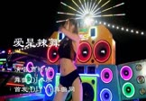 贾婷婷-爱是辣舞(DJ小廖 热舞DJ视频)