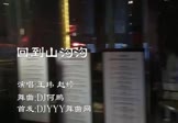 王玮-回到山沟沟(赵婷 夜店DJ视频)