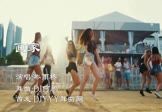 岑雨桥-画家(崔伟立 DJ舞曲视频)