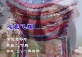 张冬玲-心在飞翔(DJ何鹏 夜店DJ视频)