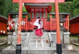 雪十郎-追风者(DJ何鹏 热舞DJ视频)