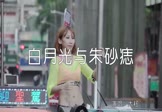 大籽-白月光与朱砂痣(DJ小宝 热舞DJ视频)