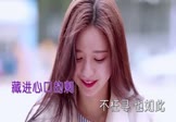 蒋雪儿-莫问归期(Dj刚仔 写真DJ视频)