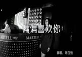 陈百强-偏偏喜欢你(DJ阿福 夜店DJ视频)