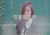 赵鑫-许多年以后(DJ何鹏 写真DJ视频)