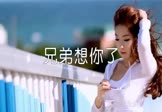 王韵-兄弟想你了(DJ沈念 写真DJ视频)