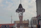 张碧晨-红玫瑰(DJLeo 热舞DJ视频)