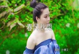 叶倩文-春风秋雨(DJcandy 写真DJ视频)
