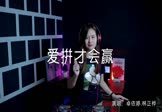 卓依婷-爱拼才会赢(林正桦 DJ舞曲视频)