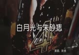 胖虎-白月光与朱砂痣(DJ版 夜店DJ视频)