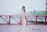 高胜美-美酒加咖啡(DJBobo 热舞DJ视频)