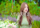 张冬玲-人的命天注定(DJ沈念 写真DJ视频)