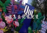 莫海婧-你怎么说变就变(DJ沈念 夜店DJ视频)