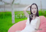 韩宝仪-粉红色的回忆(DJ小罗 写真DJ视频)