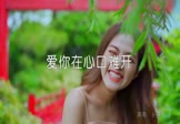 孙露-爱你在心口难开(DJ刘超 写真DJ视频)