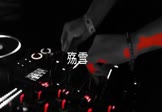 云菲菲-殇雪(DJcola 夜店DJ视频)