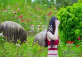 王玉萌-浪子回头(DJ阿帆 写真DJ视频)