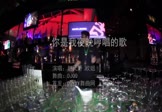 赵天野-你是我夜晚哼唱的歌(欧姐 夜店DJ视频)