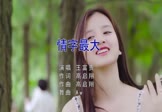 王富贵-情字最大(DJAw 写真DJ视频)